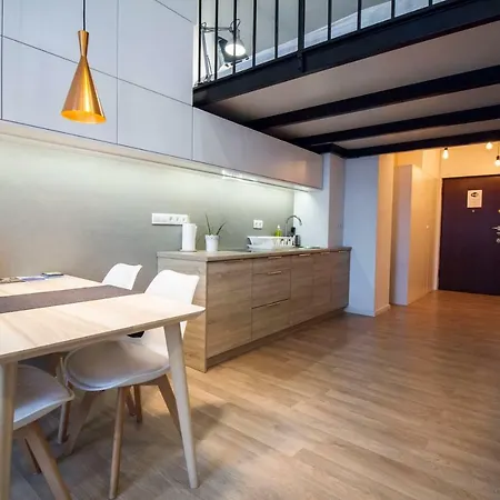 公寓 Amber Studio In The Old Town
